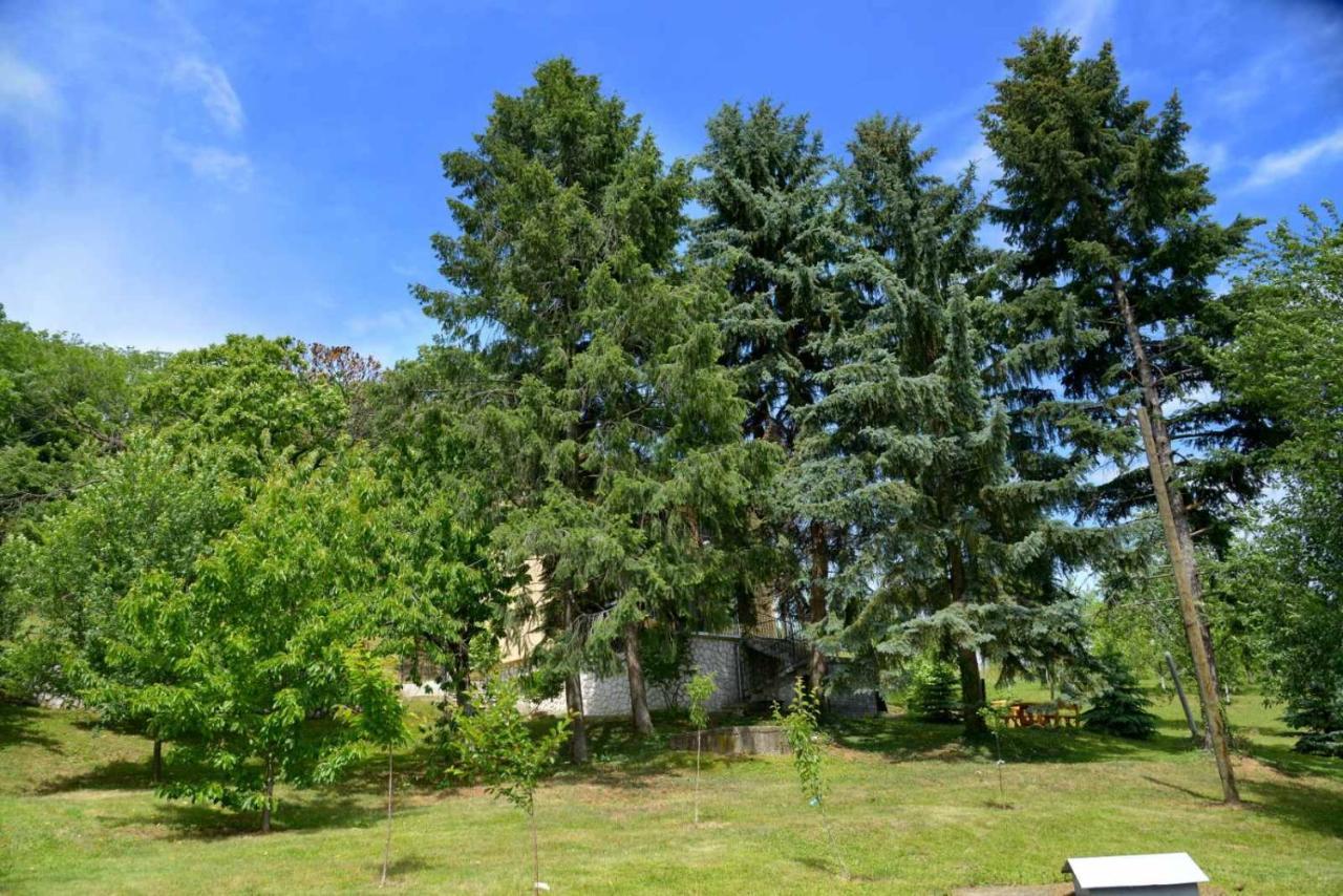 Apartamento Zoja Vrdnik Exterior foto